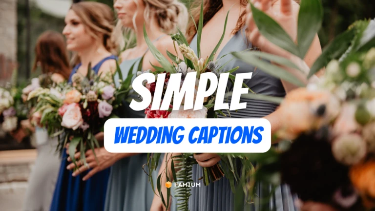 Simple Wedding Captions for Instagram